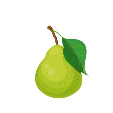 Vektör armut. Çiftlik pazarı menüsü için meyve illüstrasyonu. Sağlıklı gıda tasarımı