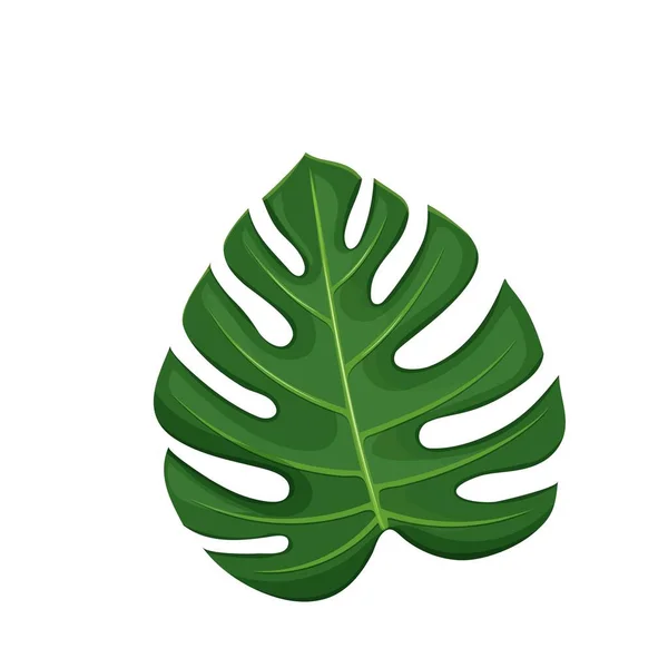 Τροπικό Τερατάκι Εξωτικά Φύλλα Ζούγκλας Εικονογράφηση Διανύσματος — Διανυσματικό Αρχείο