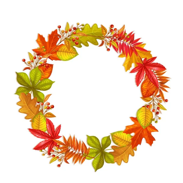 カエデ オーク エルム 秋の果実の秋の葉を持つ季節の秋のフレーム ベクターイラスト — ストックベクタ