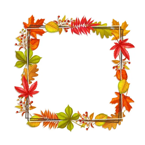 Seasonal Fall Frame Autumn Foliage Maple Oak Elm Chestnut Autumn — Stock Vector
