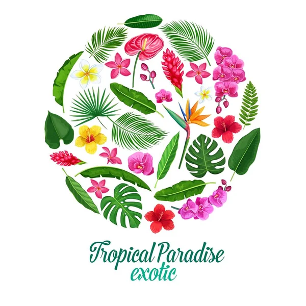 Vector tropical banner with Jungle exotic leaf monstera, areca palm, royal fern and plumeria. Strelitzia, anthurium, hibiscus, orchid and ginger flower. Exotic paradise layout design