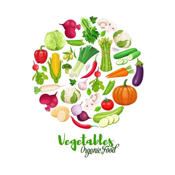 Vegetables Banner Healthy Food Vector Illustration Cabbage Pepper Beets Carrots — Stock Vector