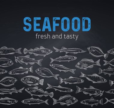 Vektör sınır çizgisi çizili balık. Çipura, uskumru, tunny veya sterlet, morina balığı ve halibut ile tebeşirle deniz ürünleri tasarlayın. Balıklı karatahta tilapia, okyanus levreği, sardalya, ançüez, levrek ve dorado..