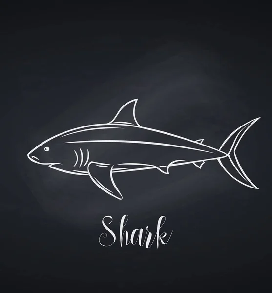矢量鲨鱼图标 复古雕刻的徽章鲨鱼鱼设计海鲜产品 菜单和商店 黑板风格 — 图库矢量图片