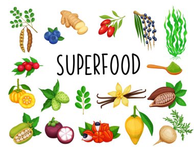 Süper yiyecek meyveleri ve yapraklı sebzeler. Böğürtlen ve sebze. Kamuflaj, garcinia cambogia ve maca 'nın sağlıklı detoks doğal ürünü. Vektör keçiboynuzu, zencefil, moringa, lucuma, coji üzümü, mangosteen, acai.