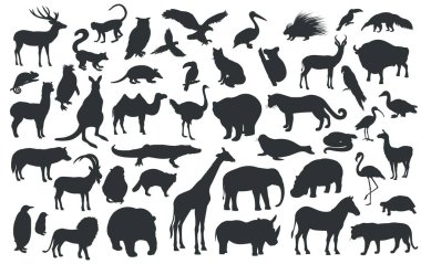 Geleneksel hayvan çiftliğinin siluetleri. Ayı, zürafa, panda, kaplan, aslan, deve ve diğer vahşi hayvanlar ve kuşlar. Vektör illüstrasyonu.