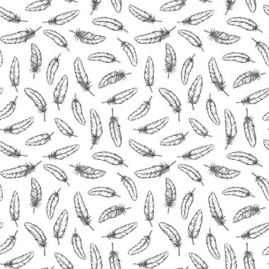 Tüysüz desen, izole edilmiş. Kuş tüyü, tekstil kumaş arkaplanı. Vektör illüstrasyonu.