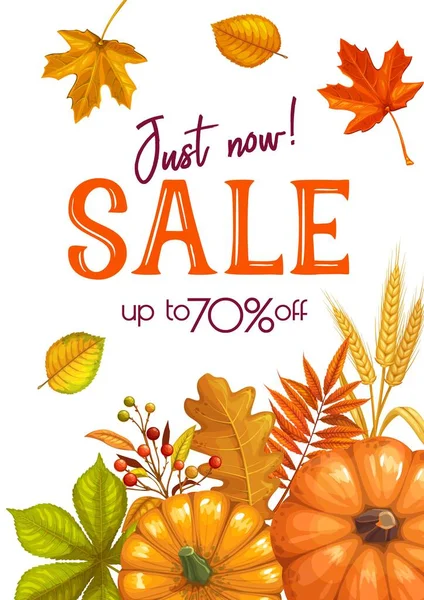 Autumn Sale Banner Bright Autumn Leaves Fall Season Promotion Design — Stock Vector