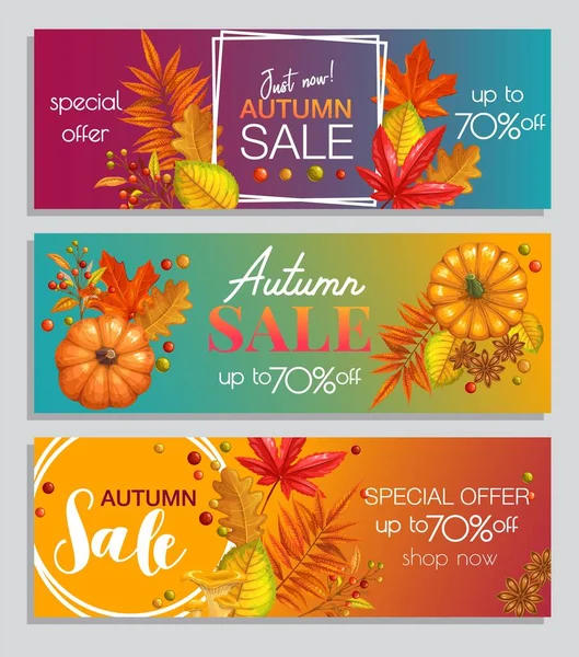 Autumn Sale Banner Bright Autumn Leaves Fall Season Promotion Design — Stock Vector