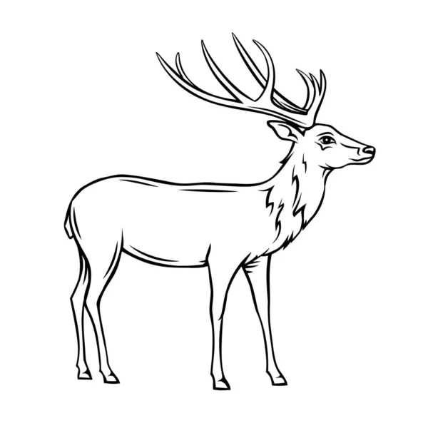 Ikona Jelena Odznak Obrysu Divokých Sobů Zvířecí Zoo Vektorová Ilustrace — Stockový vektor