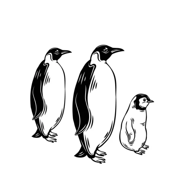 ペンギンの輪郭アイコン 動物園の設計のための水棲無鳥 ベクターイラスト — ストックベクタ