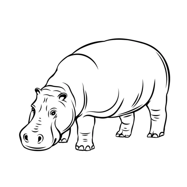 カバの動物のアイコン 動物園のデザインのためのヒッポバッジ ベクターイラスト — ストックベクタ