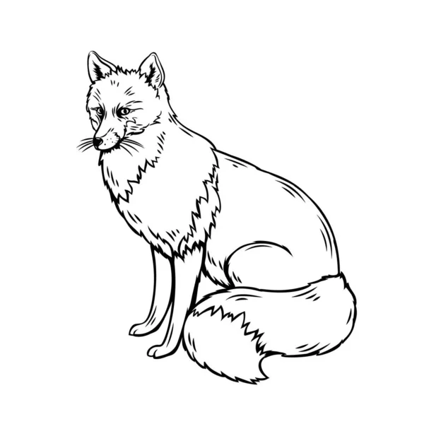 Illustrazione Vettoriale Contorno Fox Schizzo Animale Della Foresta Progettazione Dello — Vettoriale Stock