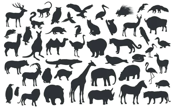 伝統的な動物園のシルエット キリン パンダ ライオン ラクダや他の野生動物や鳥 ベクターイラスト — ストックベクタ