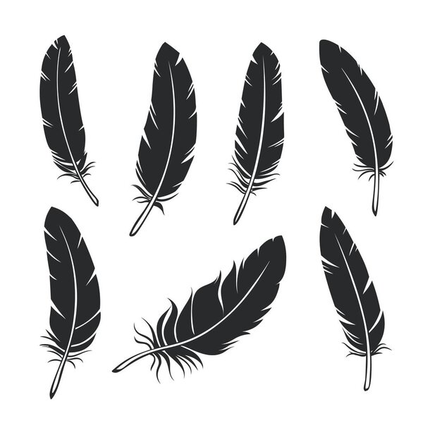 Silhouettes feathers set. Glyph black bird feather, isolated. Vector illustration.