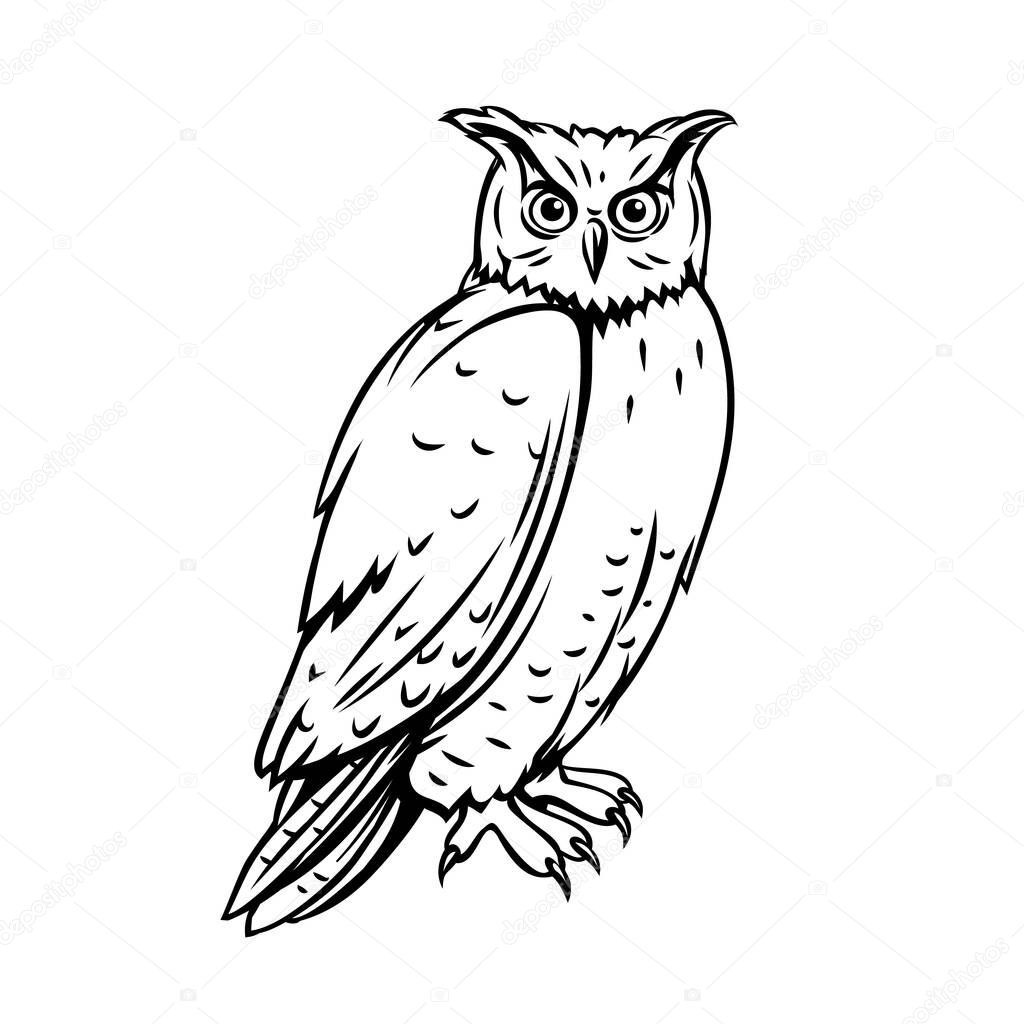 Owl bird. Outline icon for zoo design. Engraving ink vector illustration