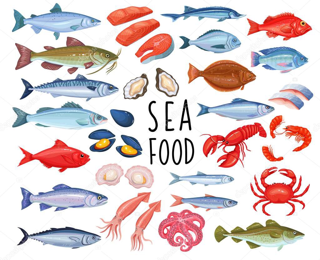 Seafood and fish icons. Lobster, squid, octopus, mussel, fish salmon, shrimp and scallop. Tuna, sterlet and halibut. Vector sea food of mollusk, oyster, sardine, anchovy, sea bass and herring.