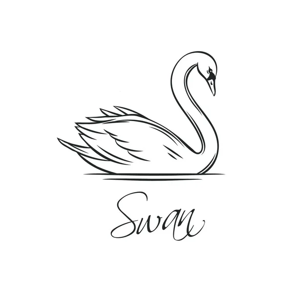 Swans Outline Icon Romantic Bird Wedding Invitation Design Vector Illustration — Stock Vector