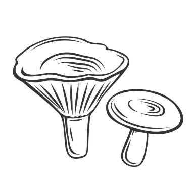 Yenilebilir süt mantarı ana hatları simgesi. İşlenmiş orman bitkileri, doğal protein gıdaları. Menü veya mağaza tasarımı için yumru mantar çiz.
