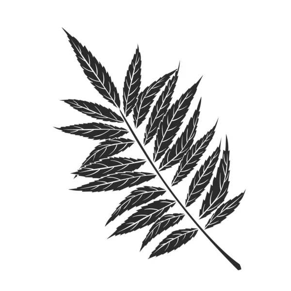 Rhus typhina leaf icon — Stock Vector