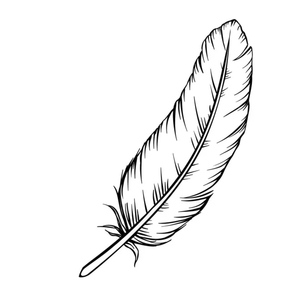 Φτερά ζωγραφισμένα στο χέρι — Διανυσματικό Αρχείο