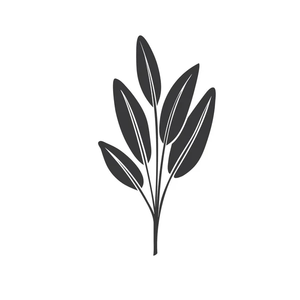 Sage glyph icon — Stock Vector