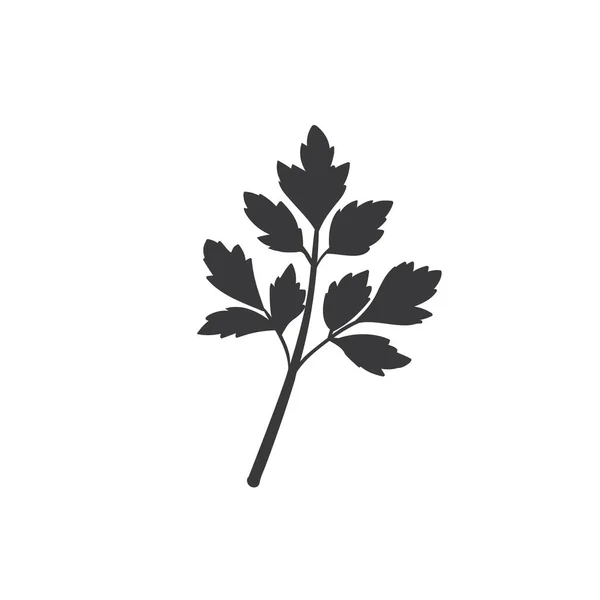 Parsley silhouette icon — Stock Vector