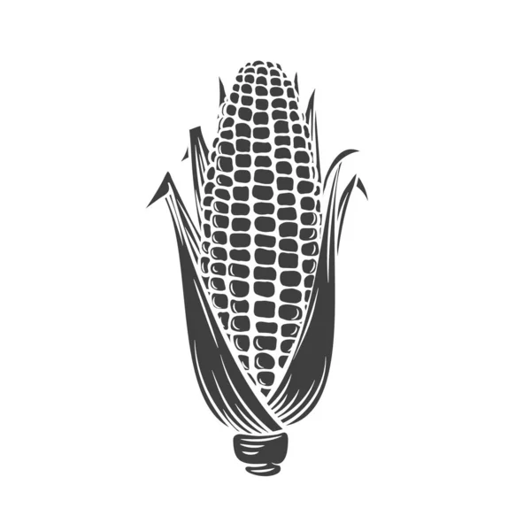 Ícone de glifo de milho — Vetor de Stock