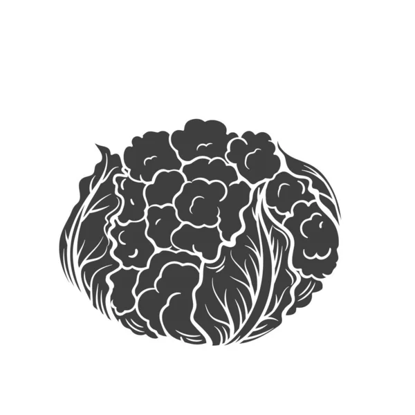 Icono de glifo de coliflor. — Archivo Imágenes Vectoriales