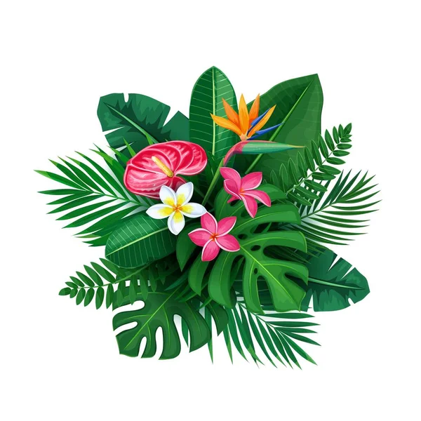 Egzotik çiçekler ve yapraklar — Stok Vektör