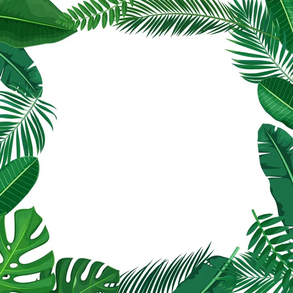 Groene tropische bladeren frame — Stockvector