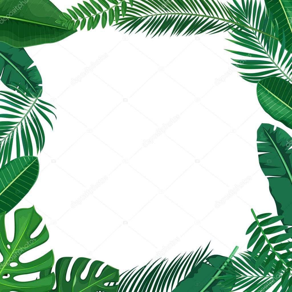 Green tropical leaves frame