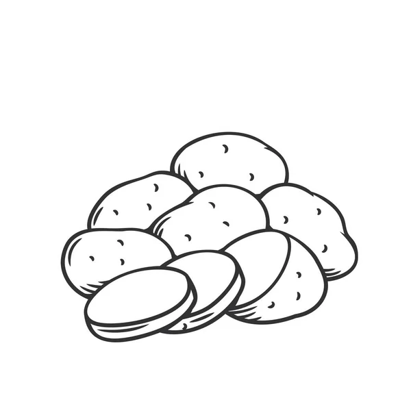 Aardappelen Ruwe Aardappel Hele Wortelgewassen Gesneden Stukken Schetsen Vectorillustratie — Stockvector
