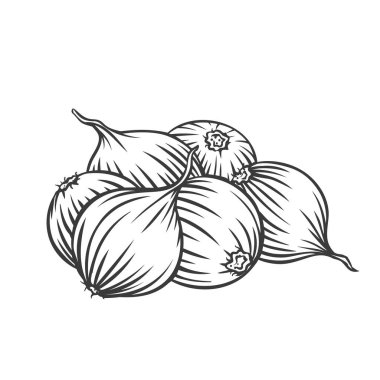 Soğan soğanı yığını