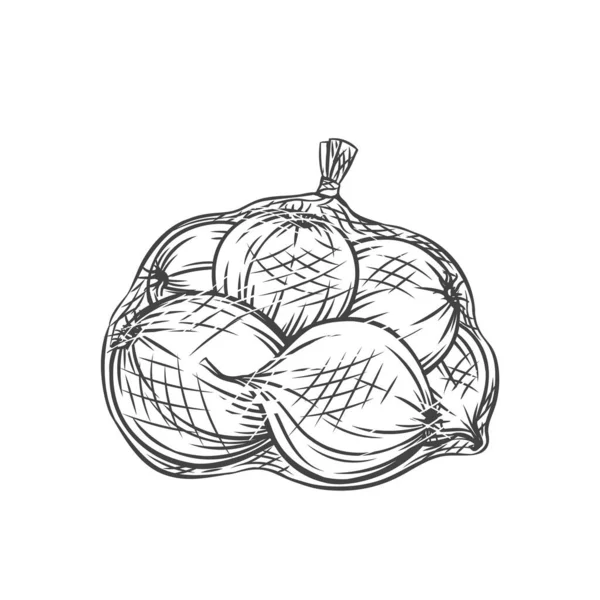 Κρεμμύδια συσκευασμένα σε δικτυωτό σάκο — Διανυσματικό Αρχείο