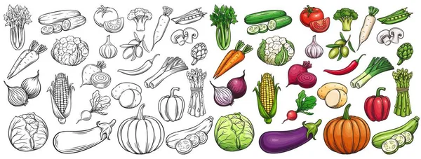 Conjunto de iconos de verduras — Vector de stock