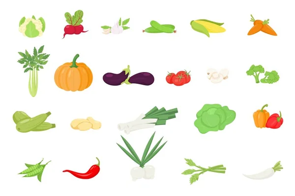 Iconos de verduras ambientados en estilo de dibujos animados — Vector de stock