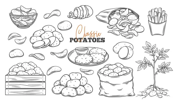 Kartoffelprodukte umreißen Symbolset — Stockvektor