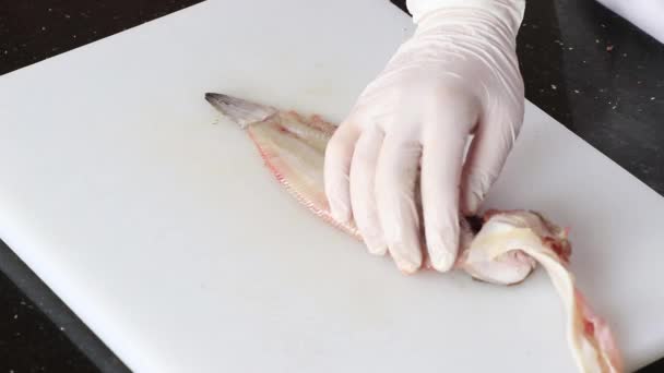 Pescado Blanco Ecológico Fresco Lenguado Pelado Preparado Para Cocina Gourmet — Vídeos de Stock