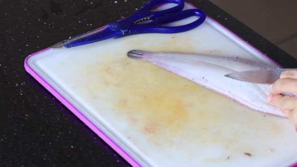 Pescado Blanco Ecológico Fresco Lenguado Pelado Preparado Para Cocina Gourmet — Vídeos de Stock