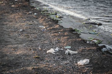 Kirli kumsalda çeşitli garajlarla bırakılmış plastik şişeler.