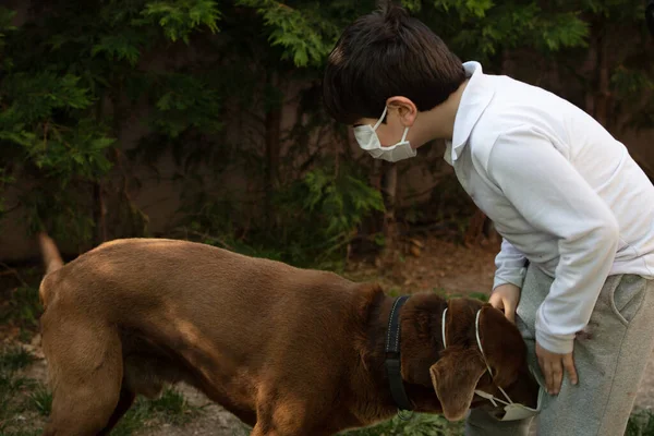 Niño con una máscara protectora con un perro debido a la pandemia del virus de la corona covid-19 —  Fotos de Stock