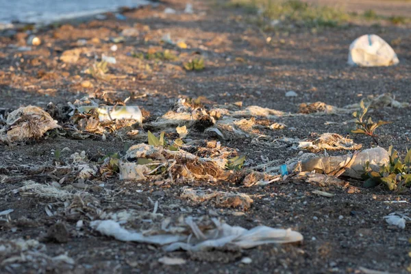 Plastic bottles left on the dirty sand beach with various garbages — Stock Photo, Image