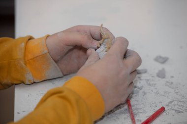 Küçük bir arkeoloğun fosillerini bulmak için kullanılan eğitici bir oyun.