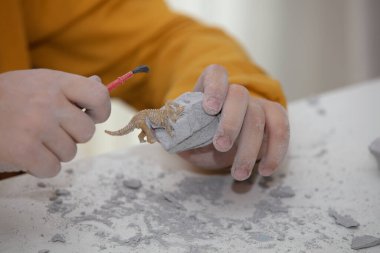 Küçük bir arkeoloğun fosillerini bulmak için kullanılan eğitici bir oyun.