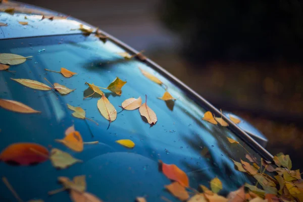 Parabrezza Auto Con Foglie Arancione Esso Auto Stata Lungo Nel — Foto Stock