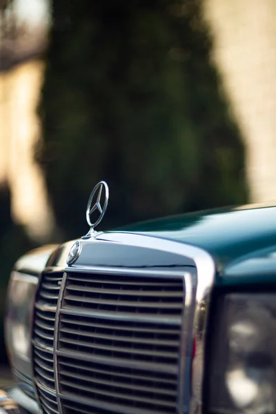 Old Rare Vintage Green Mercedes Benz Hood Badge Glasses Headlights — Stock Photo, Image