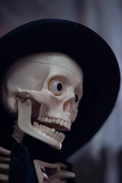 Skeleton Hat Head Cloak Close View Halloween Decoration Blurred Background — Stock Photo, Image