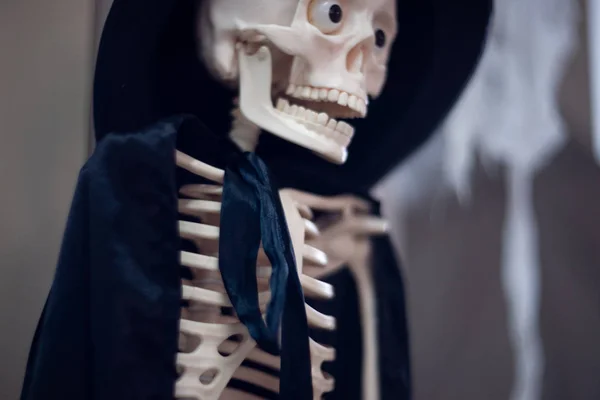 Şapkalı Pelerinli Bir Iskelet Cadılar Bayramı Dekorasyonu — Stok fotoğraf