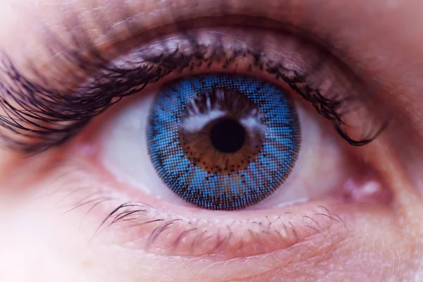 Woman eye with blue contact lens. Eyelashes is defocused.